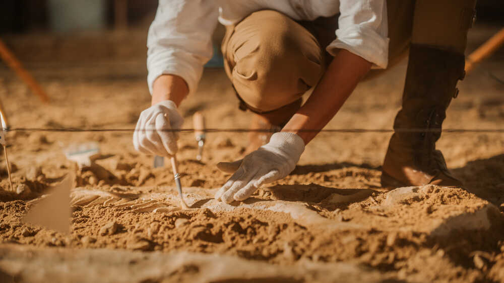 Archaeologists Uncover 4,000-Year-Old Chinese Palace | Five Nation