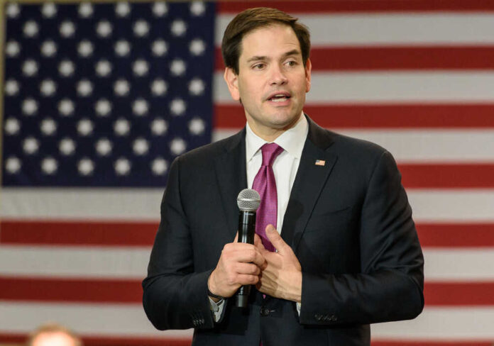 Marco Rubio Hands Key Endorsement To Trump | Five Nation